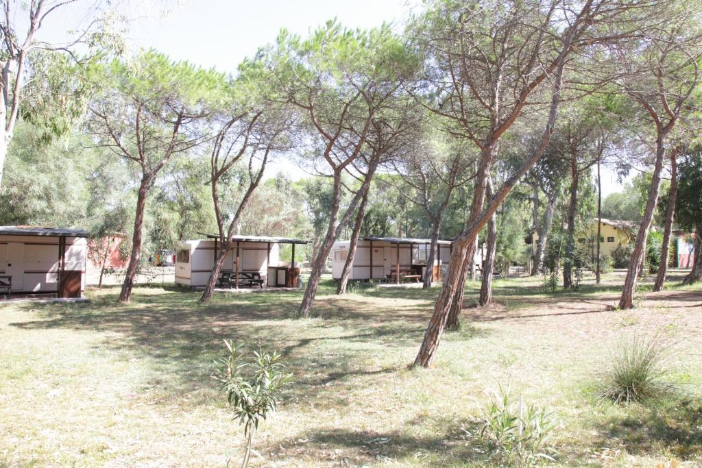 Camping Golfo Dell'Asinara 플라타모나 객실 사진
